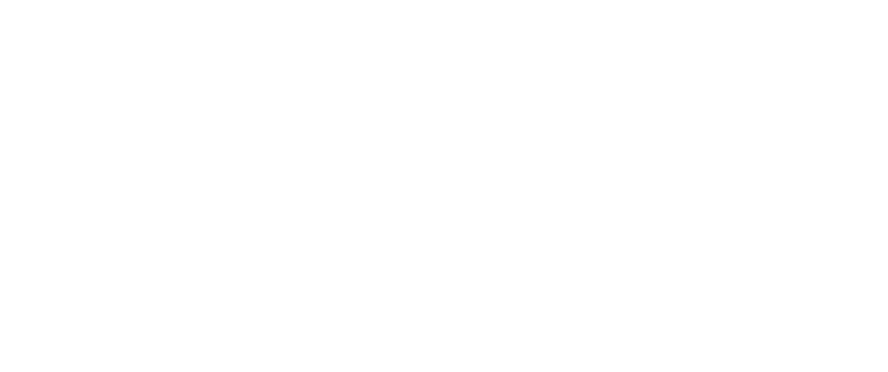 logo DSA Investment białe